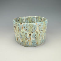 Cenote Cup I