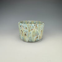 Cenote Cup I