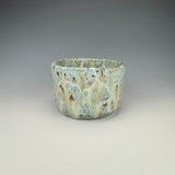 Cenote Cup I