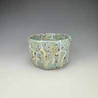 Cenote Cup I