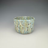 Cenote Cup I