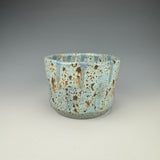 Cenote Cup III