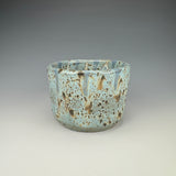 Cenote Cup III