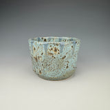 Cenote Cup III